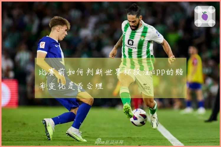 比赛前如何判断世界杯投注app的赔率变化是否合理