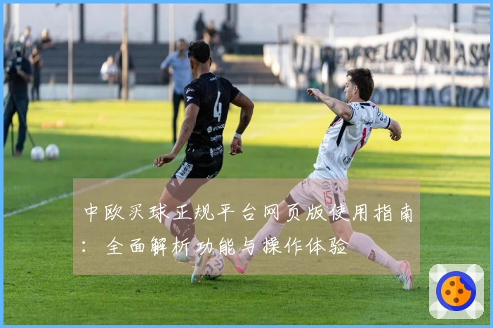 中欧买球正规平台网页版使用指南：全面解析功能与操作体验