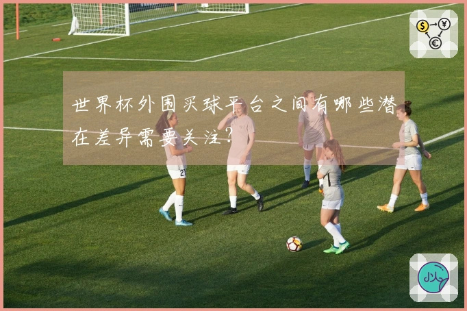 世界杯外围买球平台之间有哪些潜在差异需要关注？