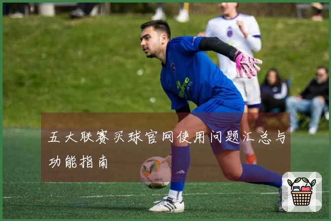 五大联赛买球官网使用问题汇总与功能指南