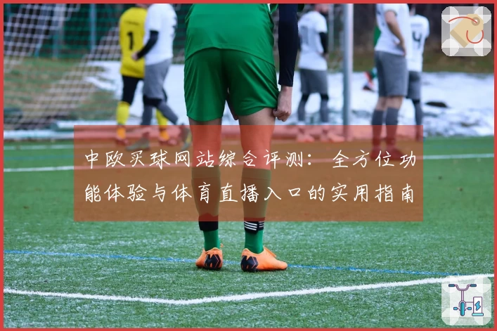 中欧买球网站综合评测：全方位功能体验与体育直播入口的实用指南