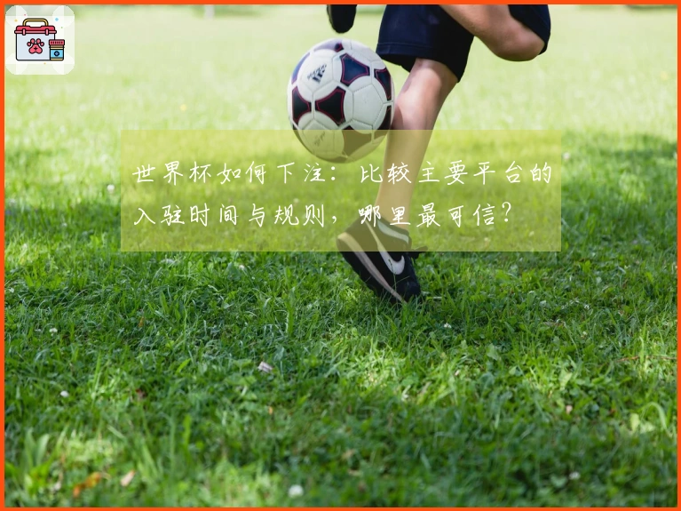 世界杯如何下注：比较主要平台的入驻时间与规则，哪里最可信？