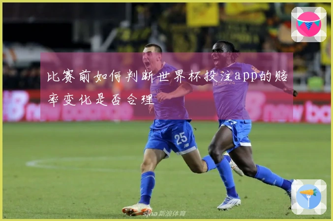 比赛前如何判断世界杯投注app的赔率变化是否合理